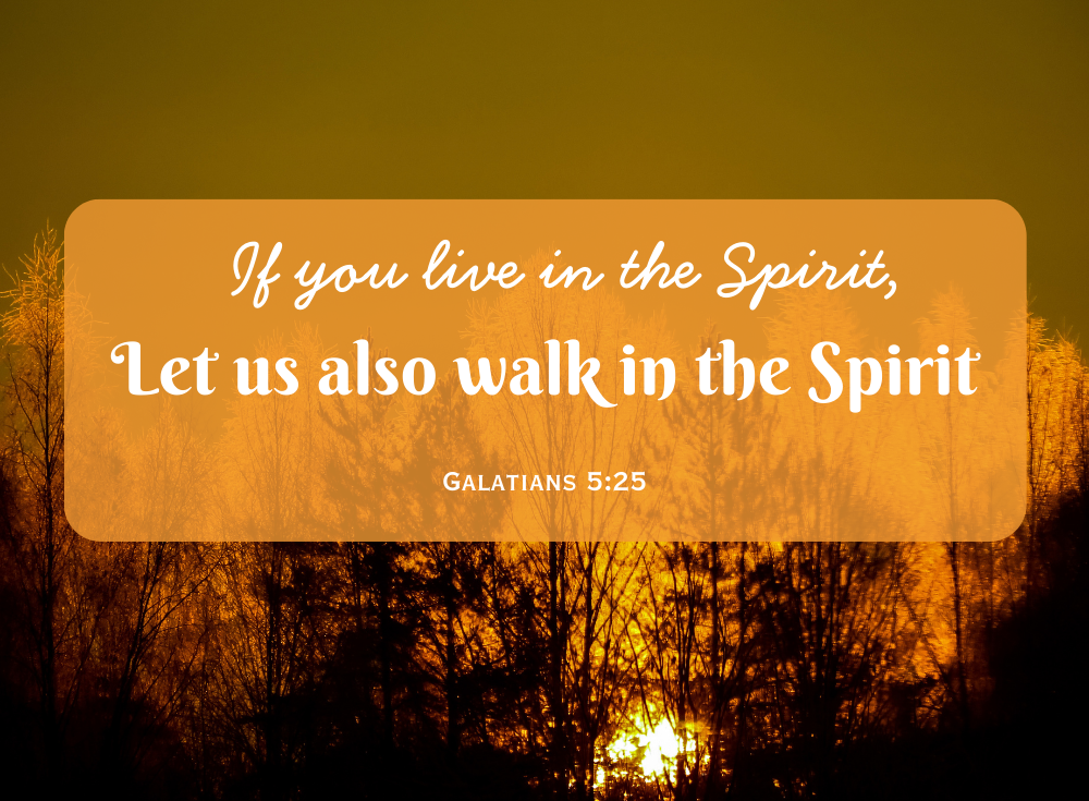 The Holy Spirit and Your Growth